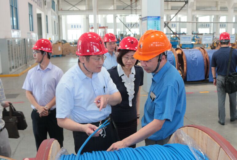 2016年7月22日堡牡，瀘州市委常委抒抬、副市長王建翔一行來上上電纜參觀考察