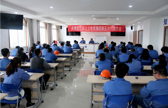 2016年4月20日夏坝，共青團(tuán)江蘇上上電纜集團(tuán)第五次代表大會召開