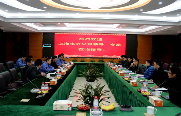 上海電力公司、上纜所領(lǐng)導(dǎo)邦泄、專家一行來(lái)上上電纜交流考察